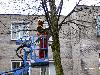 27-02-2006 het begin van het weghalen van de bomen in het winkelcentrum beverwaard