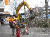 de bomen aan de kant van hoogvliet in de beverwaard worden nu weggehaald.