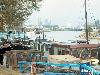 28-09-2006 bij eiland brienenoord genomen.