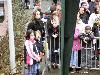 sinterklaas in het winkelcentrum beverwaard