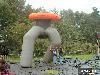 26-08-2006 terrible events day in het wijk park oudewatering beverwaard.