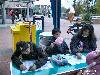 25-11-2006 haarstudio sylviana opening kinderplaza winkelcentrum beverwaard.