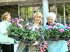 19-04-2007 opzoomeren het uitdelen van zomerplantjes aan de bewoners in de focus beverwaard