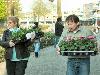 19-04-2007 opzoomeren het uitdelen van zomerplantjes aan de bewoners in de focus beverwaard