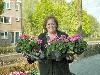 19-04-2007 opzoomeren het uitdelen van zomerplantjes aan de bewoners in de focus beverwaard