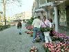 19-04-2007 opzoomeren het uitdelen van zomerplantjes aan de bewoners in de focus beverwaard