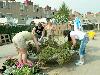 25-04-2007 schoonmaak actie en plantjes potten kinderen het plein aan het schoonmaken spelletjes op het plein achter slangenburgstraat/waardenburgdam beverwaard.