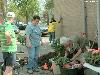 25-04-2007 schoonmaak actie en plantjes potten kinderen het plein aan het schoonmaken spelletjes op het plein achter slangenburgstraat/waardenburgdam beverwaard.