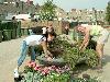 25-04-2007 schoonmaak actie en plantjes potten kinderen het plein aan het schoonmaken spelletjes op het plein achter slangenburgstraat/waardenburgdam beverwaard.