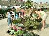 25-04-2007 schoonmaak actie en plantjes potten kinderen het plein aan het schoonmaken spelletjes op het plein achter slangenburgstraat/waardenburgdam beverwaard.