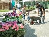 25-04-2007 schoonmaak actie en plantjes potten kinderen het plein aan het schoonmaken spelletjes op het plein achter slangenburgstraat/waardenburgdam beverwaard.