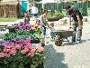 25-04-2007 schoonmaak actie en plantjes potten kinderen het plein aan het schoonmaken spelletjes op het plein achter slangenburgstraat/waardenburgdam beverwaard.