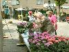 25-04-2007 schoonmaak actie en plantjes potten kinderen het plein aan het schoonmaken spelletjes op het plein achter slangenburgstraat/waardenburgdam beverwaard.