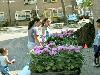 25-04-2007 schoonmaak actie en plantjes potten kinderen het plein aan het schoonmaken spelletjes op het plein achter slangenburgstraat/waardenburgdam beverwaard.