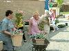 25-04-2007 schoonmaak actie en plantjes potten kinderen het plein aan het schoonmaken spelletjes op het plein achter slangenburgstraat/waardenburgdam beverwaard.