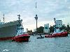 04-08-2008 aankomst ss rotterdam ligplaats katendrecht rotterdam