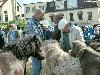 27-06-2007 paardenmarkt oud ijsselmonde 