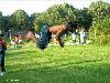 25-08-2007 terrible event day wijkpark beverwaard