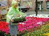 29-05-2008 foto
