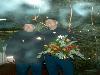 20-12-2008 foto