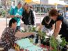 25-04-2009 foto plantjes ruilbeurs de tuin-academie en een kraam waar kinderen beschilderd kunnen worden in het winkelcentrum beverwaard 