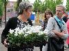 19-05-2009 opzoomer plantjes worden weer uitgereikt op het slangenburgplein beverwaard