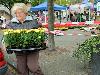 19-05-2009 opzoomer plantjes worden weer uitgereikt op het slangenburgplein beverwaard