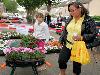 19-05-2009 opzoomer plantjes worden weer uitgereikt op het slangenburgplein beverwaard