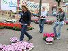 19-05-2009 opzoomer plantjes worden weer uitgereikt op het slangenburgplein beverwaard