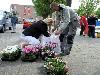 19-05-2009 opzoomer plantjes worden weer uitgereikt op het slangenburgplein beverwaard