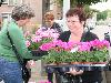 19-05-2009 opzoomer plantjes worden weer uitgereikt op het slangenburgplein beverwaard