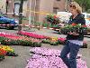 19-05-2009 opzoomer plantjes worden weer uitgereikt op het slangenburgplein beverwaard