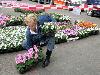 19-05-2009 opzoomer plantjes worden weer uitgereikt op het slangenburgplein beverwaard