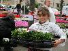 19-05-2009 opzoomer plantjes worden weer uitgereikt op het slangenburgplein beverwaard