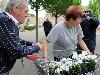 19-05-2009 opzoomer plantjes worden weer uitgereikt op het slangenburgplein beverwaard