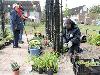 16-05-2009 aanplanten  van plantjes complex52 door buurtbewoners van de eckartstraat-amstenradenhoek-maurickerf beverwaard