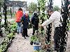 16-05-2009 aanplanten  van plantjes complex52 door buurtbewoners van de eckartstraat-amstenradenhoek-maurickerf beverwaard