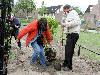 16-05-2009 aanplanten  van plantjes complex52 door buurtbewoners van de eckartstraat-amstenradenhoek-maurickerf beverwaard