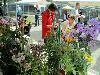 12-09-2009 braderie en wijkfeest in de beverwaard