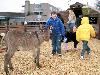 02-12 sinterklaas feest + kinderboerderij2009 winkelcentrum beverwaard