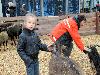 02-12 sinterklaas feest + kinderboerderij2009 winkelcentrum beverwaard