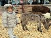 02-12 sinterklaas feest + kinderboerderij2009 winkelcentrum beverwaard