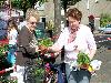 20-05-2010 opzoomer plantjes worden weer uitgereikt op het slangenburgplein beverwaard