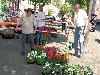 20-05-2010 opzoomer plantjes worden weer uitgereikt op het slangenburgplein beverwaard