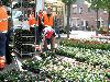 20-05-2010 opzoomer plantjes worden weer uitgereikt op het slangenburgplein beverwaard