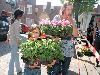 20-05-2010 opzoomer plantjes worden weer uitgereikt op het slangenburgplein beverwaard