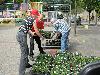 20-05-2010 opzoomer plantjes worden weer uitgereikt op het slangenburgplein beverwaard