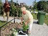 12-06-2010 complex52 tropische tuin aanplanten van nieuwe plantjes en onkruit verwijderen eckartstraat/amstenradenhoek/maurickerf beverwaard