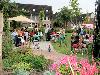 01-08-2010 picnic tropische tuin bewoners eckartstraat/amstenradenhoek/maurickerf beverwaard