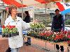 18-05-2011 opzoomeren plantjes winkelcentrum beverwaard